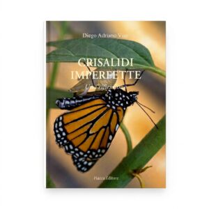 Crisalidi Imperfette, Una riflessione