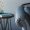 kari-shea-cpEO3HoKdKM-unsplash